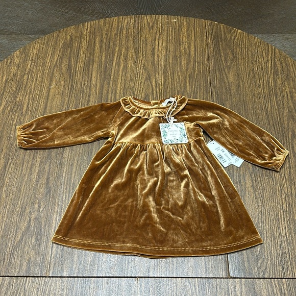 Chelsea & Violet Other - NWT Chelsea & Violet Dillards Velvet baby dress, Size 9 month
